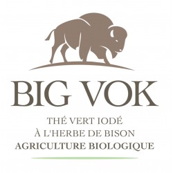 Thé vert Sencha aromatisé herbe de bison 100% issu de l'agriculture biologique